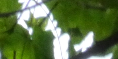 Panasonic Lumix G Vario 100-300mm F4-5,6