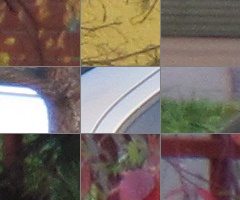 Canon PowerShot SX30 IS: sebevědomý rekordman