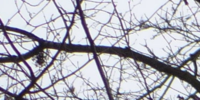 Panasonic Lumix LX7: kompaktní hvězda noci