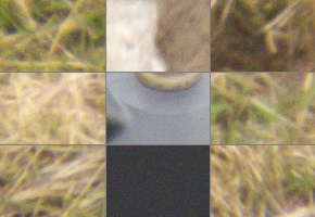 Canon PowerShot SX50 HS: překvapivá kombinace