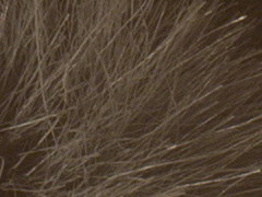 Fujifilm X100: splněný sen