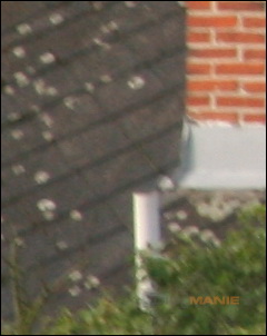 Stativ - nejlepší přítel fotografa