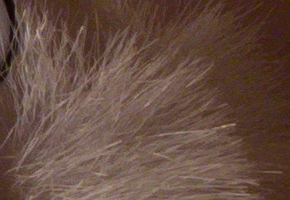 Olympus Stylus XZ-2: jednoduše skvělý