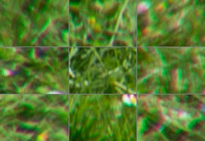 Tamron 16-300mm f/3.5-6.3 Di II VC PZD Macro