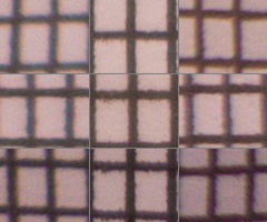 Panasonic Lumix LX7: kompaktní hvězda noci