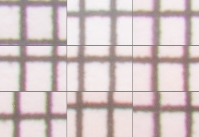 Nikon AF-P NIKKOR 18-55mm f/3.5-5.6G VR