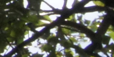 Sony SAL-1855 (DT 18-55mm F3,5-5,6 SAM)