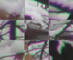 Canon PowerShot SX500 IS: fotící stroj času