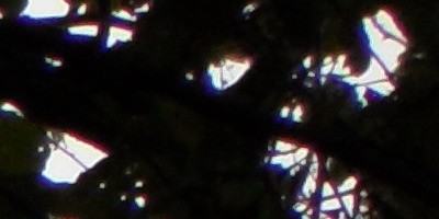 Samsung WB210: dotkněte se 21 milimetrů!