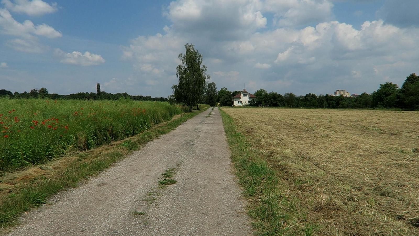 Canon PowerShot G7 X: opět skvělé géčko