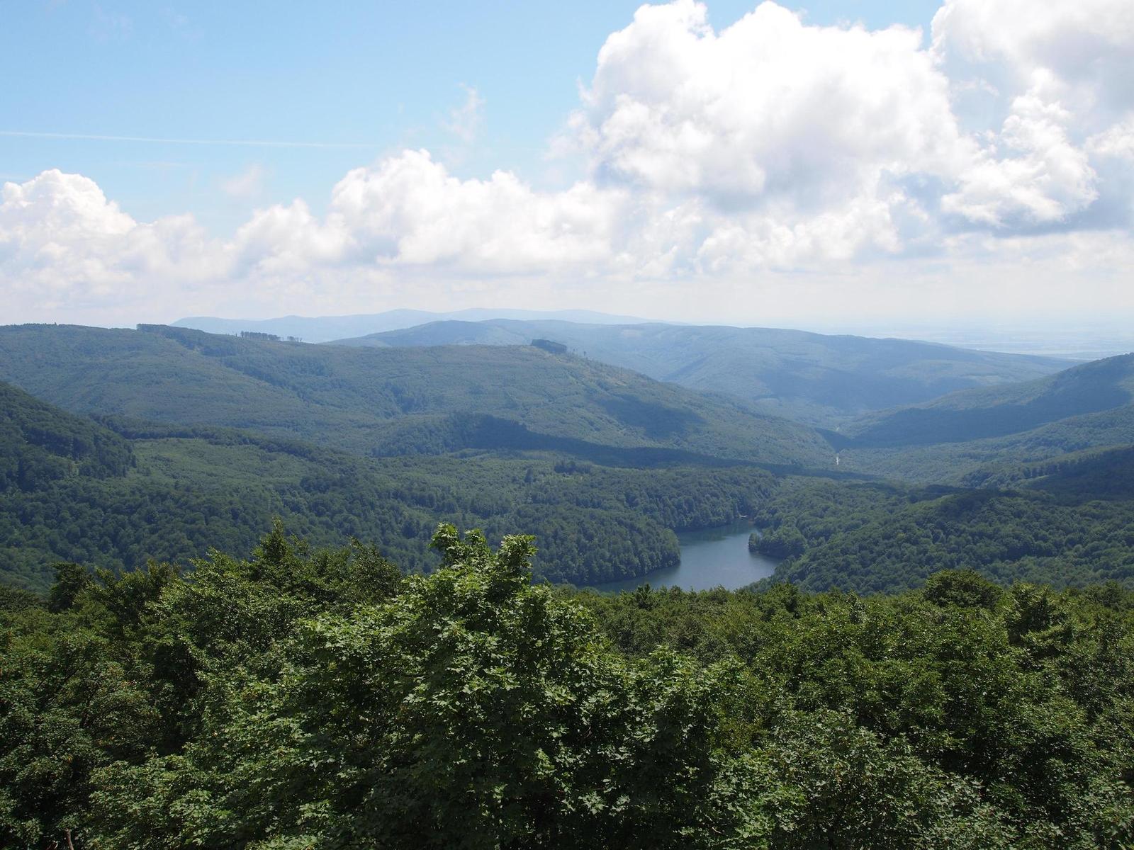 Olympus PEN E-P1: megarecenze letní novinky