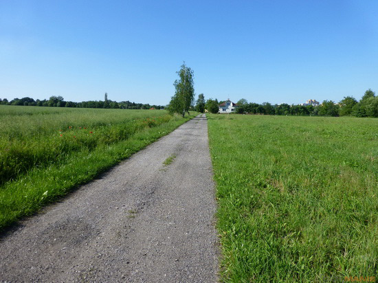 Panasonic Lumix TZ30: pokračovatel slavného rodu?