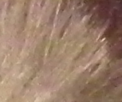 Fujifilm FinePix HS10: ultrazoom roku?