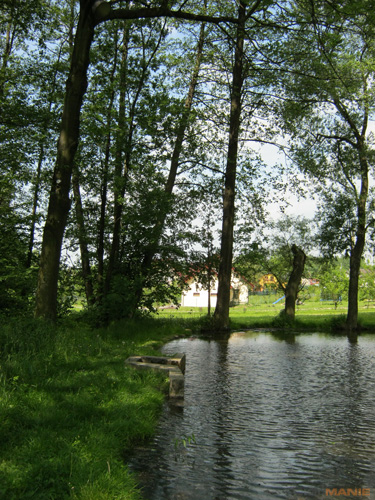 Canon PowerShot A800: šikula za pár stovek