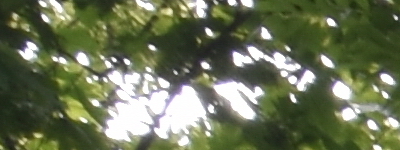 Tamron 16-300mm f/3.5-6.3 Di II VC PZD Macro