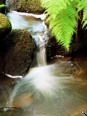 Tipy a Triky nejen pro začátečníky, díl 8. - Lze nahradit barevné a jiné filtry softwarově?