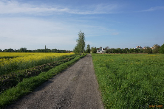 Sony NEX-7: správná (r)evoluce