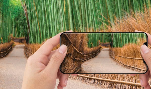 OmniVision OV64C: nový 64MPx 1/1,7" čip s podporou 8K videa