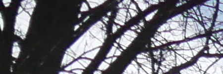 Panasonic Lumix LX100: pozoruhodný profi kompakt