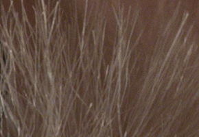 Olympus PEN E-PL5: s výkonnějším srdcem