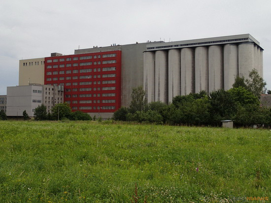 Olympus TG-1 iHS: nejen entomologův sen