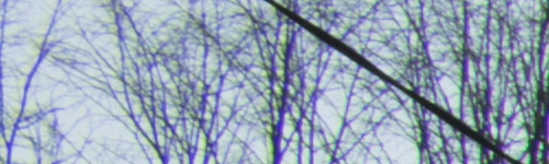 Nikon AF-P NIKKOR 18-55mm f/3.5-5.6G VR