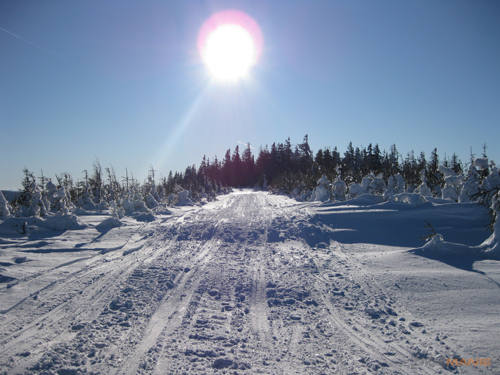 Canon PowerShot A1000 IS: ve stínu předchůdce