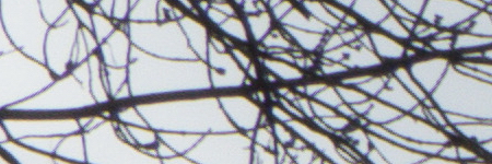 Panasonic Lumix TZ70: krůček k profi ultrazoomu