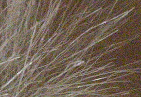 Sony NEX-5R: fázový posun k lepšímu?