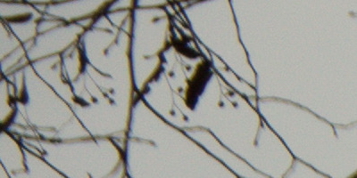 Sony SAL-18250 (DT 18-250mm F3,5-6,3)