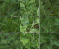 Panasonic Lumix G Vario 100-300mm F4-5,6