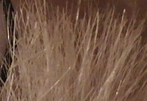 Samsung NX1000: sněhobílý bezdrát