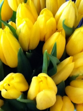 Velikonoční soutěž Fujifilmu