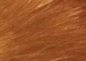 Sony Alpha SLT-A35: úspěšně proti zrcadlovkám