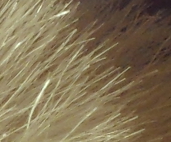 Samsung ST550: jedno LCD nestačí