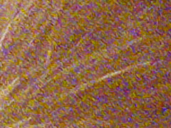 Fujifilm FinePix HS20EXR: důstojný nástupce