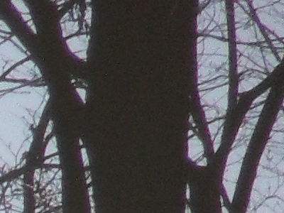 Samsung ST1000: nabitý technologiemi