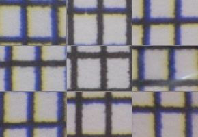 Nikon AF-P DX Nikkor 70-300 mm f/4,5-6,3G ED VR