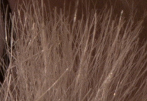 Samsung NX1000: sněhobílý bezdrát