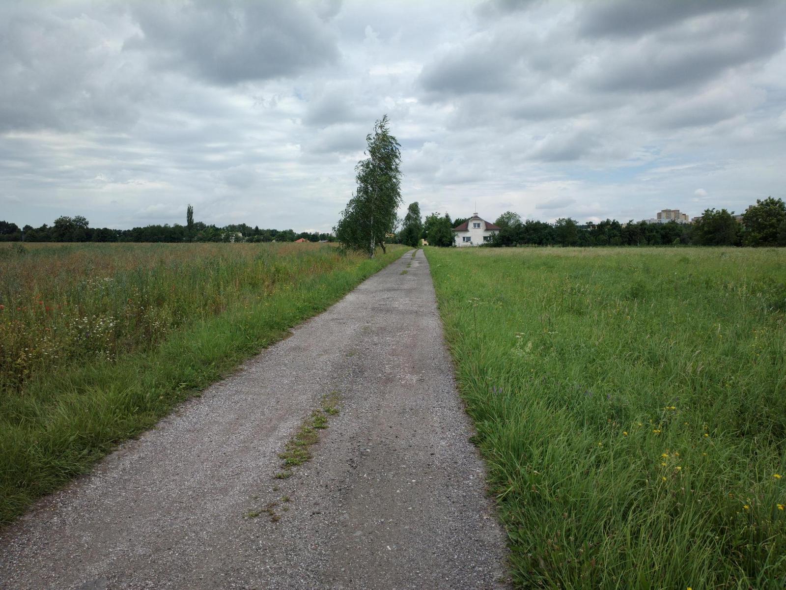 Nokia 808 PureView: mobilní zrcadlovkobijec