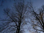 Fotíme mobilem: Panoramata jako nepřekonatelný problém?