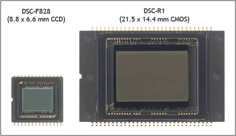 Sony Cyber-shot DSC-R1: Třída sama o sobě