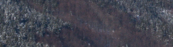 Fotíme s Koalou: Software, RAWy, obrazové formáty