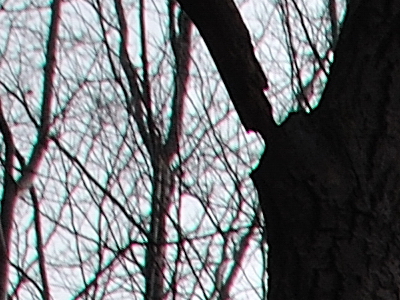 Postačí setový objektiv? Nikon vs. Sigma a Tamron