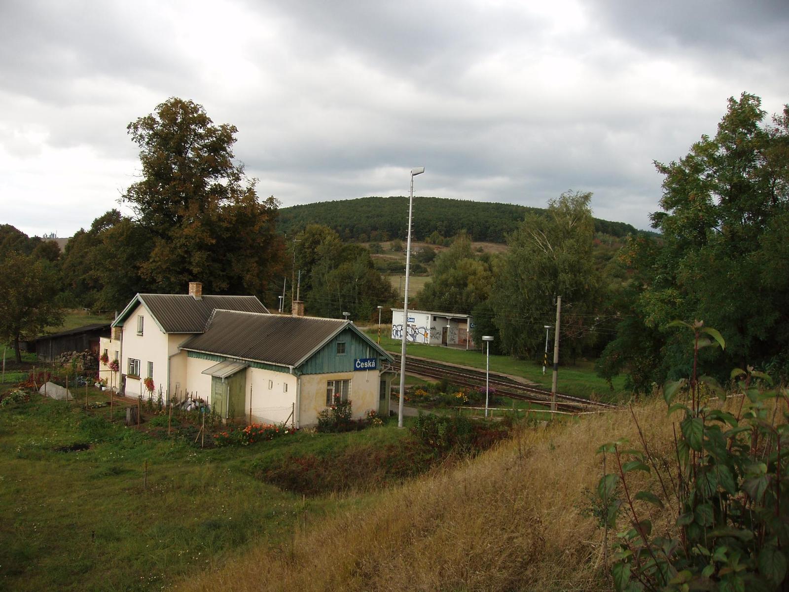 Olympus C-60 Zoom: Ideální společník