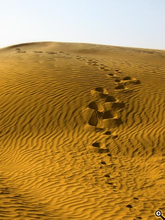 Úpravy fotografií v PC, 6.díl - jas