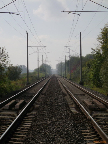 BenQ DC T1260: přítel citlivé peněženky