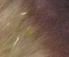 Samsung ST1000: nabitý technologiemi