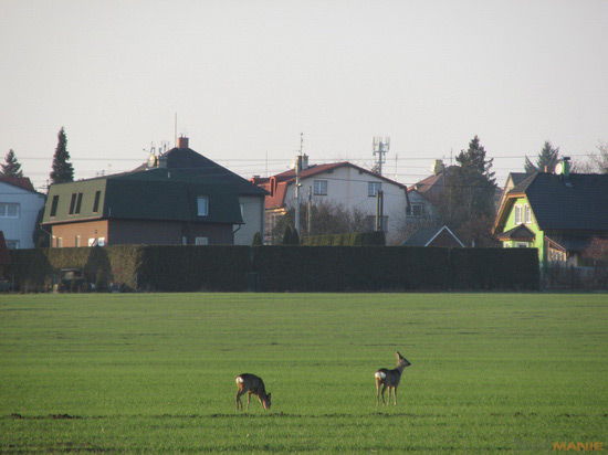 Canon PowerShot SX160 IS: více megapixelů i zoomu