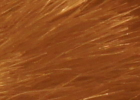 Sony Alpha SLT-A35: úspěšně proti zrcadlovkám